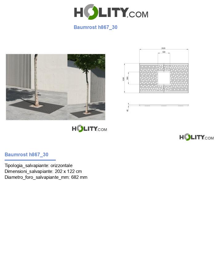 Baumrost h867_30
