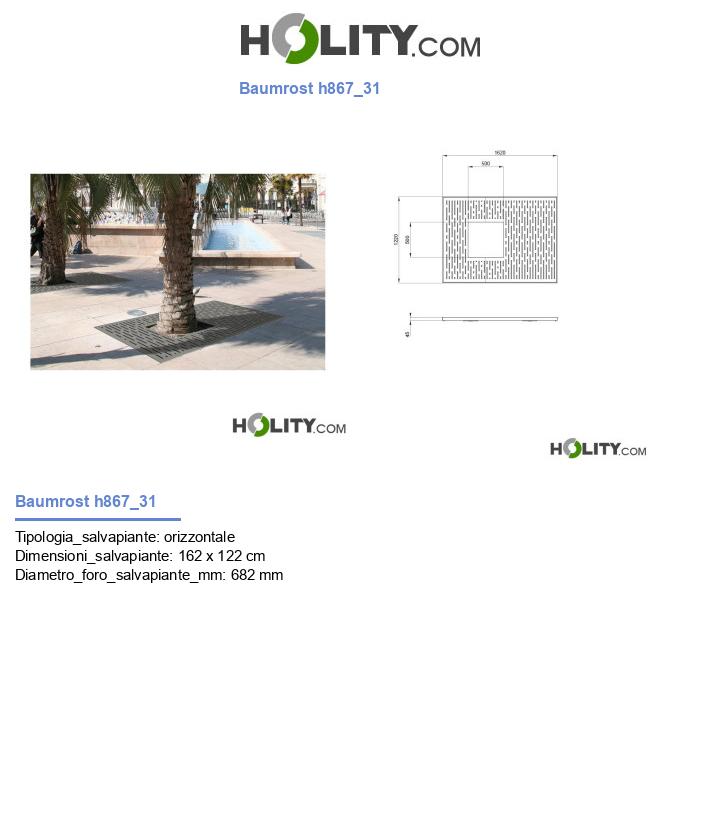 Baumrost h867_31