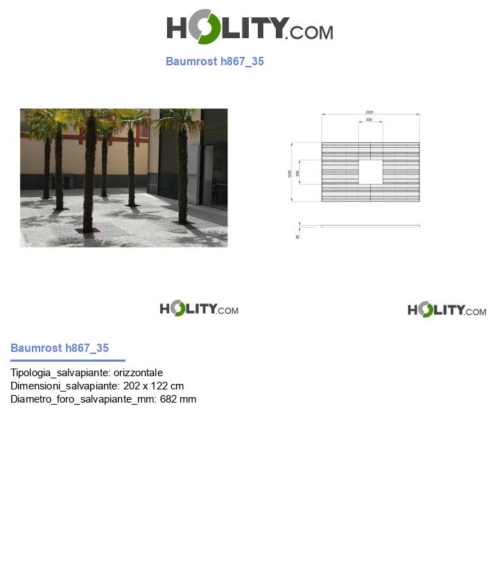 Baumrost h867_35