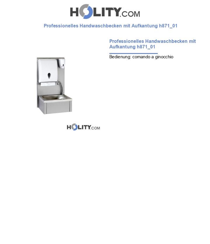 Professionelles Handwaschbecken mit Aufkantung h871_01