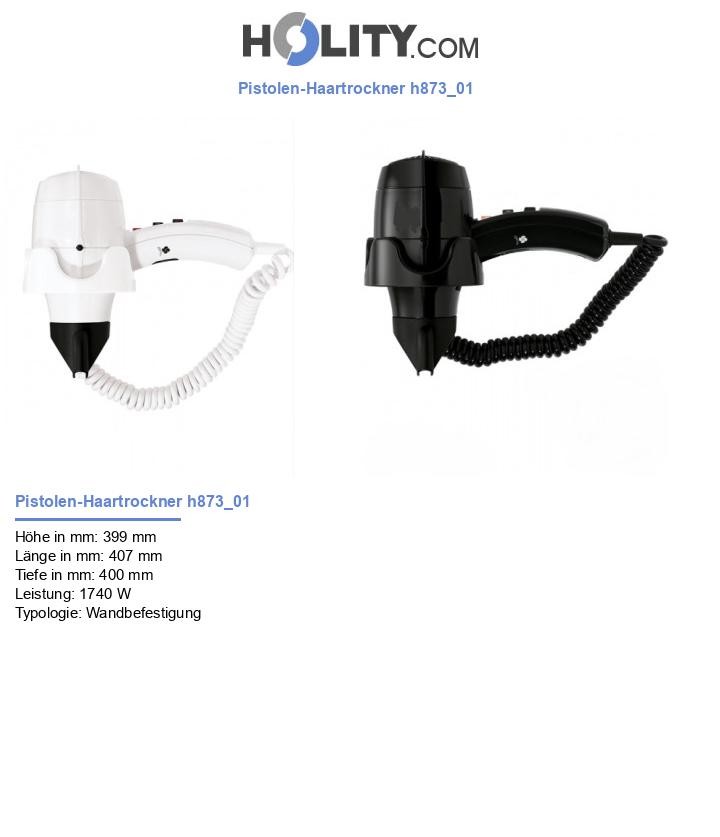 Pistolen-Haartrockner h873_01