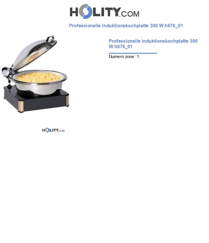 Professionelle Induktionskochplatte 300 W h876_01