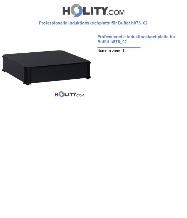 Professionelle Induktionskochplatte für Buffet h876_02