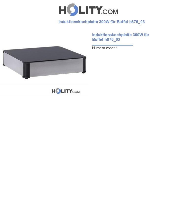 Induktionskochplatte 300W für Buffet h876_03