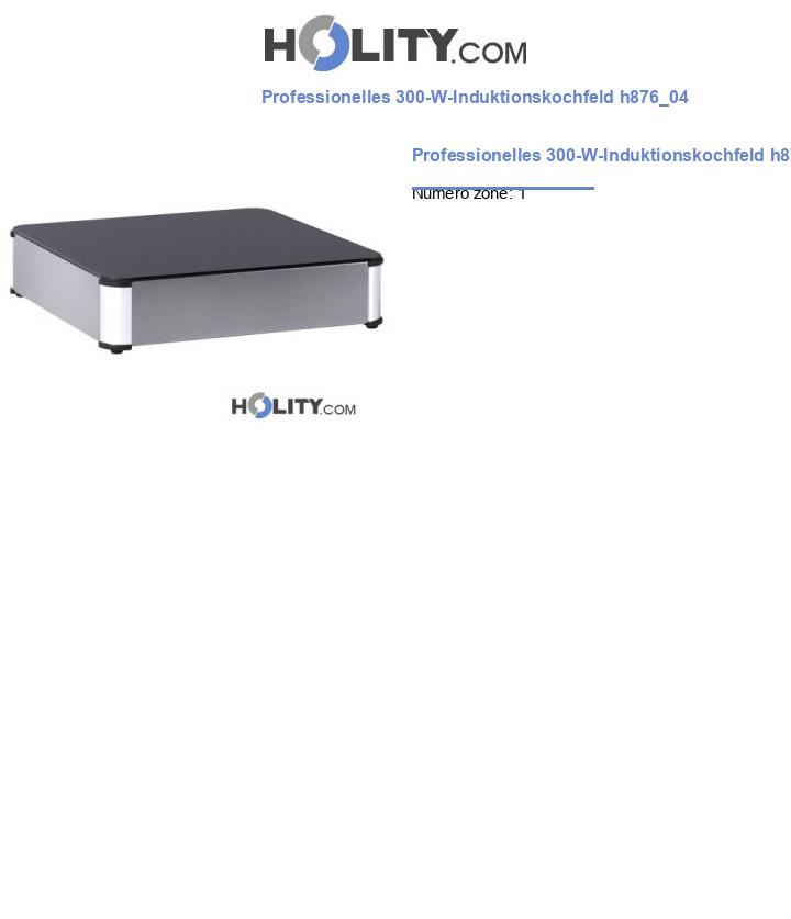 Professionelles 300-W-Induktionskochfeld h876_04