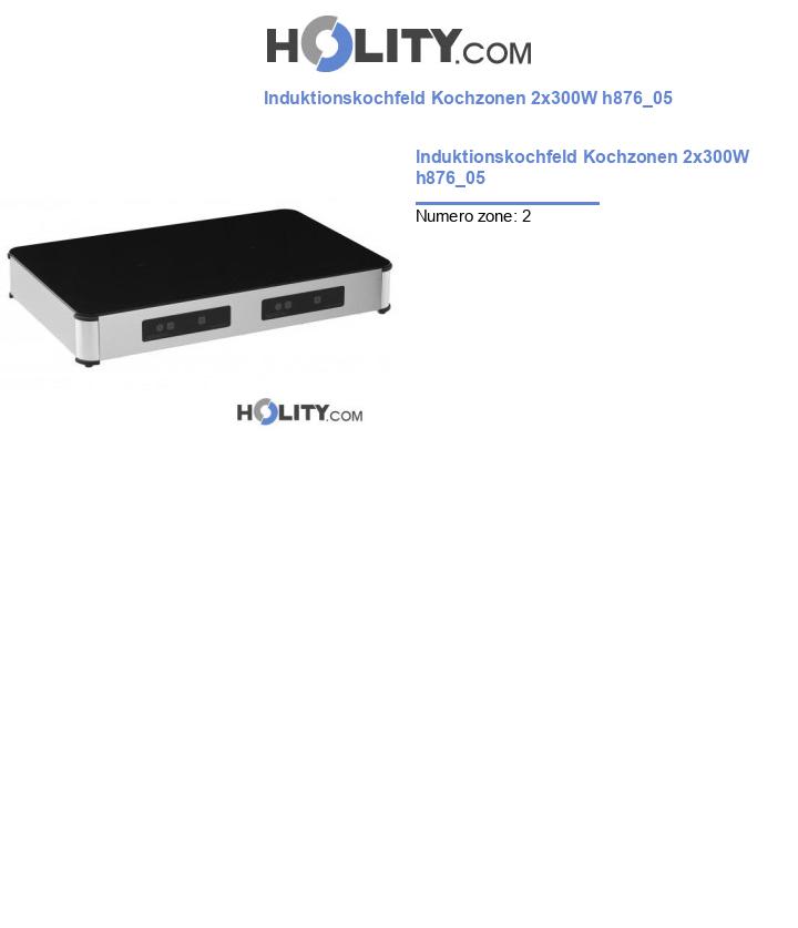 Induktionskochfeld Kochzonen 2x300W h876_05