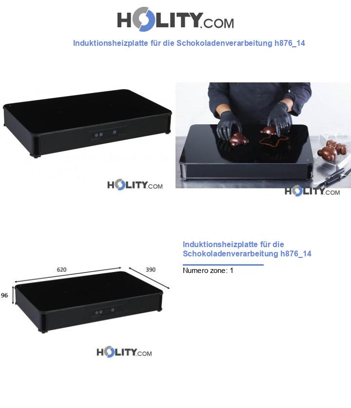 Induktionsheizplatte für die Schokoladenverarbeitung h876_14