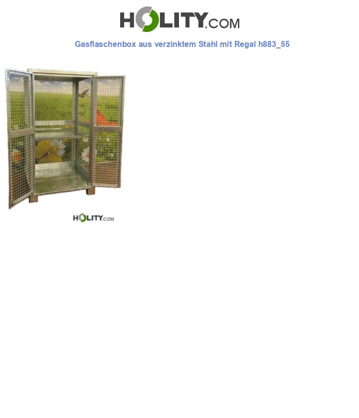 Gasflaschenbox aus verzinktem Stahl mit Regal h883_55