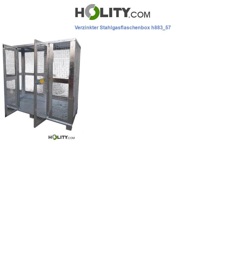 Verzinkter Stahlgasflaschenbox h883_57