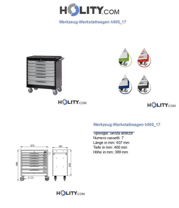 Werkzeug-Werkstattwagen h905_17