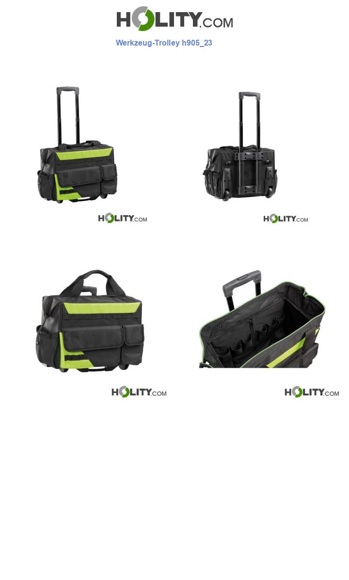 Werkzeug-Trolley h905_23