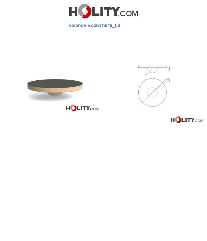 Balance-Board h919_09