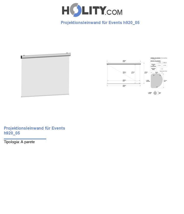 Projektionsleinwand für Events h920_05