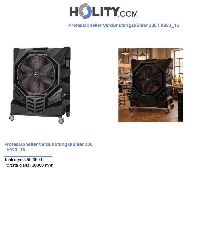 Professioneller Verdunstungskühler 300 l h923_16