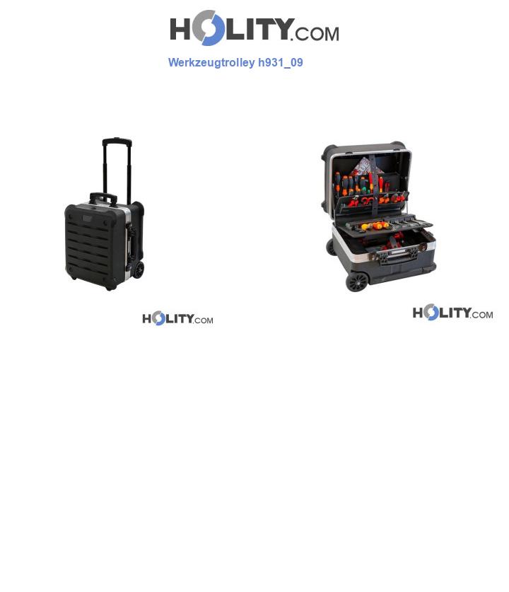 Werkzeugtrolley h931_09