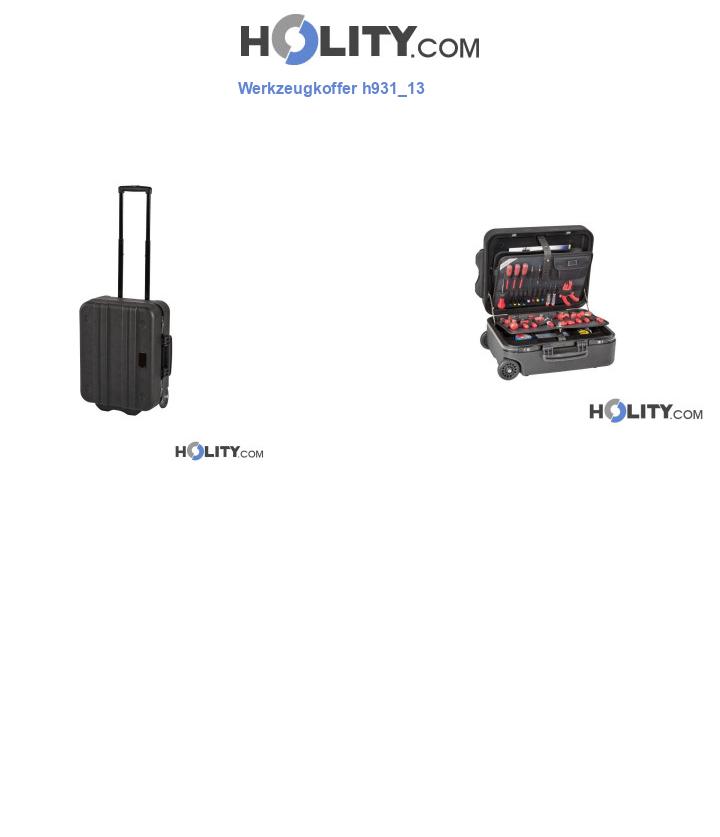 Werkzeugkoffer h931_13