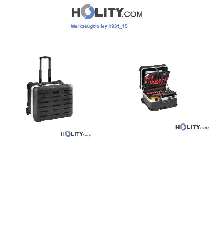 Werkzeugtrolley h931_15