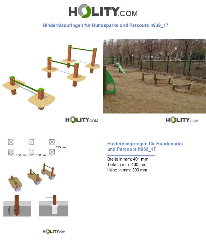 Hindernisspringen für Hundeparks und Parcours h939_17