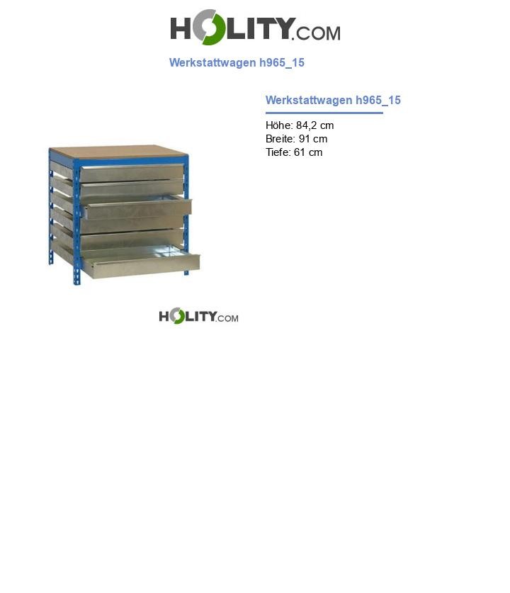 Werkstattwagen h965_15