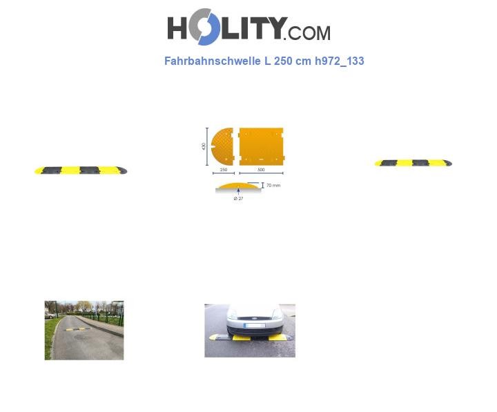Fahrbahnschwelle L 250 cm h972_133
