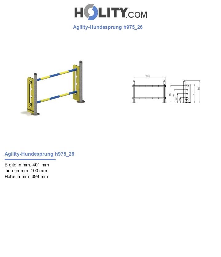 Agility-Hundesprung h975_26