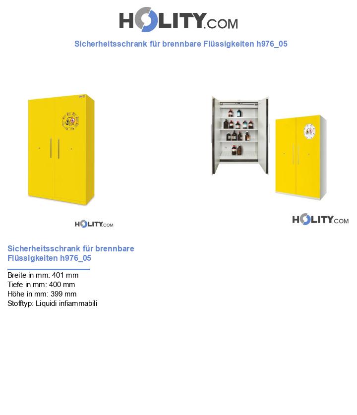 Sicherheitsschrank für brennbare Flüssigkeiten h976_05