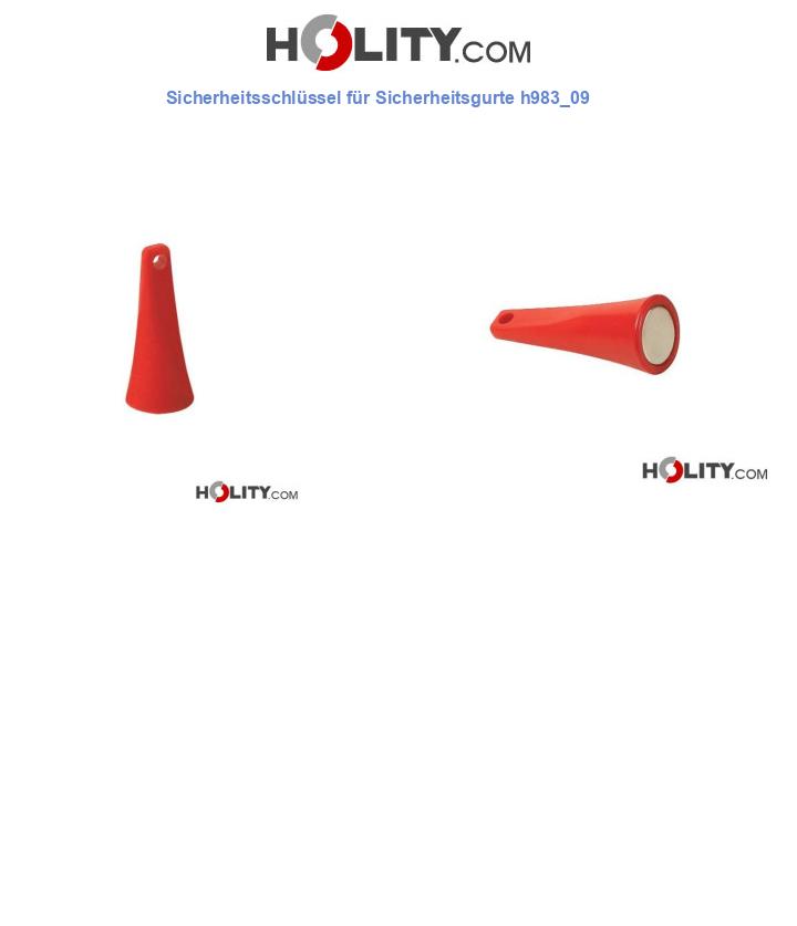 Sicherheitsschlüssel für Sicherheitsgurte h983_09