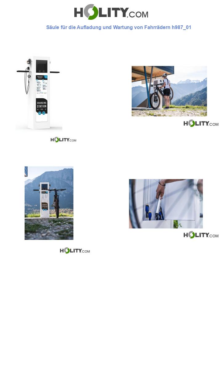Säule für die Aufladung und Wartung von Fahrrädern h987_01
