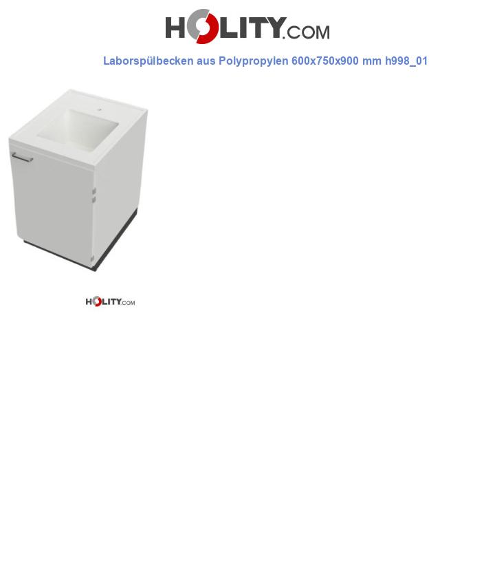 Laborspülbecken aus Polypropylen 600x750x900 mm h998_01